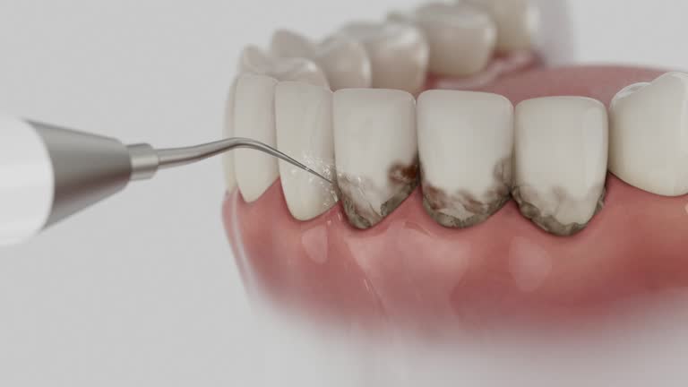 Reliable Dental contractor in Campton Hills, IL by Dentist Open Now